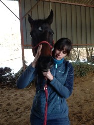 vérification de la dentition, déglutition et mastication