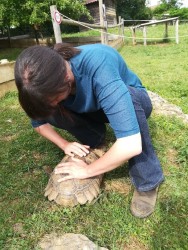 oui, les NAC aussi ;)