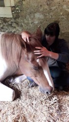 on s'endort en crânien ;)